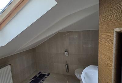 Baneasa Teisani vila 7 camere teren 1000 mp - 31