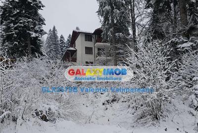 Pensiune Predeal VI 084 - 7