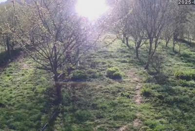 Teren intravilan casa - 1