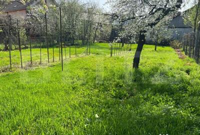 Casă cu 3 camere cu Teren 877 Mp în Central - 3