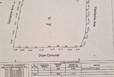 Teren Construcții intravilan de 9908 mp, în Dorna-Arini - 3