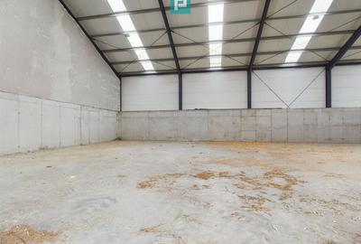 Spațiu industrial, de 411 mp, în Jebel - 3