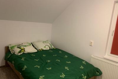 Cabana libera de Craciun ?i Revelion - 2