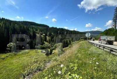 Teren intravilan de vanzare, 6941 mp, zona Mestecani? - 1