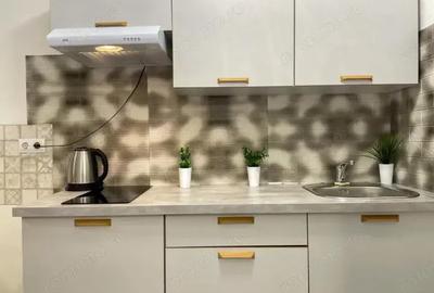 Apartament cu 2 camere decomandat în Dristor