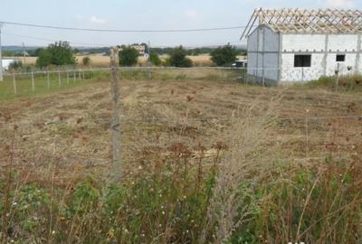 Teren de 1000 mp, în Munteni - 6