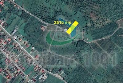 Teren de 2510 mp, în Șomcuta Mare - 4