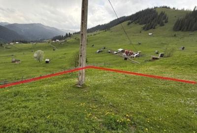 Spațiu comercial, în Cârlibaba - 4