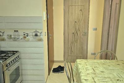 Apartament cu 2 camere semidecomandat în Ultracentral - 12