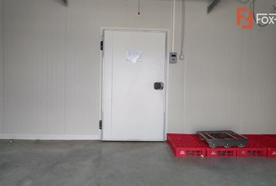 Spațiu industrial, de 35 mp, în Săcălaz - 11