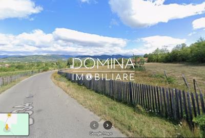 Teren Construcții intravilan de 3262 mp, în Baia de Fier - 5