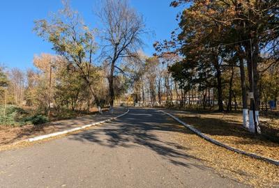 Teren 19.470 mp, dezvoltare imobiliara, Green City - 1 Decembrie, Ilfov - 10