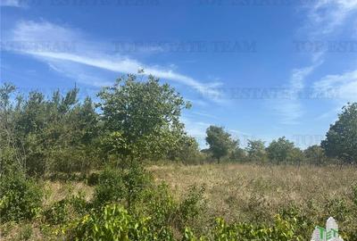 Teren Construcții intravilan de 2040 mp, în Brănești - 3