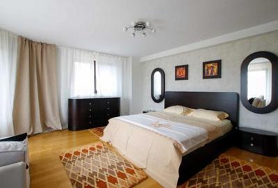 Vila superba in Snagov langa padure - 9