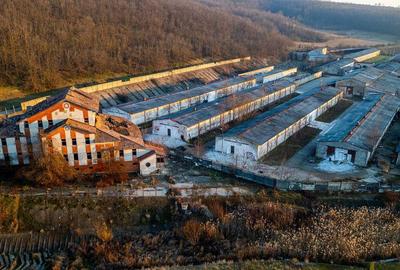Fosta Ferma a Partidului de la Horgesti - de vanzare - 2
