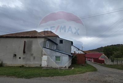 Casă cu 10 camere cu Teren 1000 Mp în Chisindia - 4