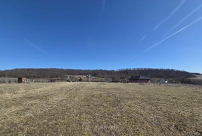 Teren de 2700 mp, în Mitocu Dragomirnei - 2