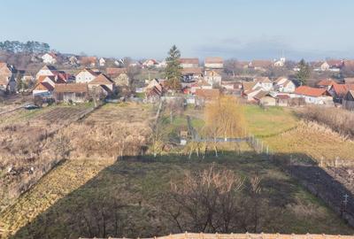 Comision 0%! 2 case Cincu, teren 2134mp, sura & curte libera - 46