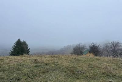 Teren de 3901 mp, în Central - 5