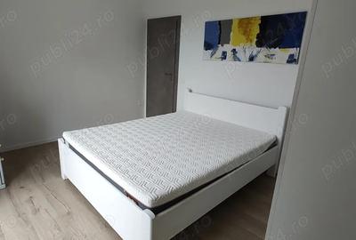 PROPRIETAR Inchiriez ap 2 cam Dumbravita. - 3