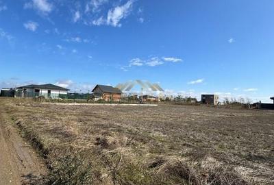 Teren 339mp, ocazie, Berceni/ Vidra Teren 339mp, ocazie, Berceni/ Vidra - 2