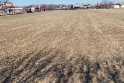 Spațiu comercial, în Poiana Lacului - 1