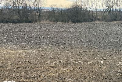 Teren de 3618 mp, în Central - 8