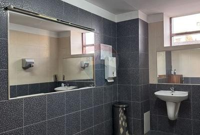 Birou, de 250 mp, în Ferdinand - 14