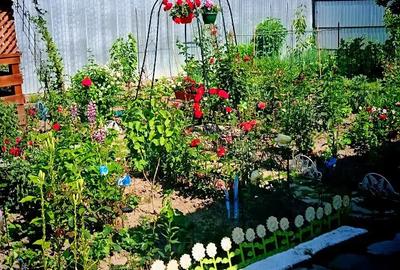 Casa de vanzare in Gura humorului - 2