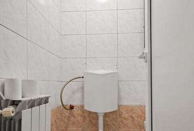 Casă individuală cu 9 camere cu Canalizare în Ștefan cel Mare - 26