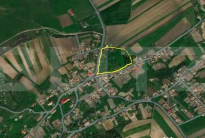 Casă cu 3 camere cu Teren 18449 Mp în Păingeni - 5