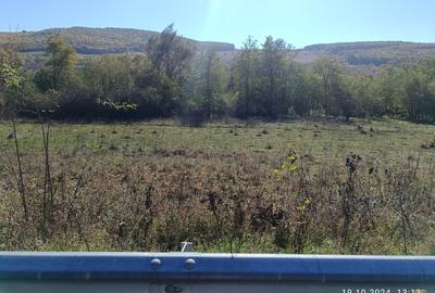 Vand teren Vultureni - 5