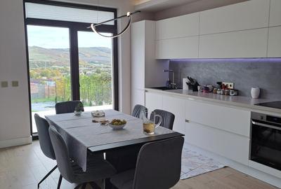 VILA NOUA,MODERNA CU 2100 METRI PATRATI TEREN-VIISOARA - 5