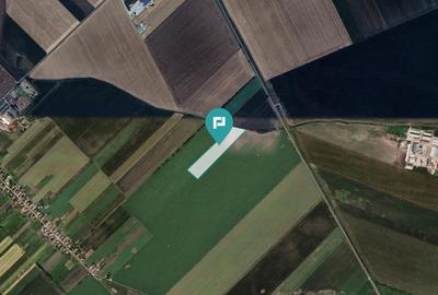 Teren extravilan de 22500 mp în Variașul Mare Teren extravilan de 22500 mp în Variașul Mare - 3