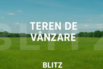 Teren 5.000 mp Curte?ti Oportunitate de investi?ie in - 1