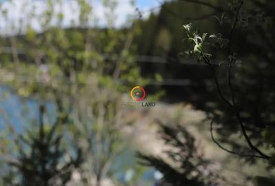 Teren de 50000 mp, în Pietroșița - 3