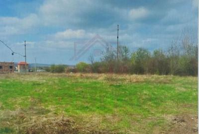 TEREN INTRAVILAN - STRADA AEROPORTULUI\ CARANSEBE?\JUD.C... - 6