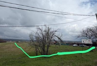 Teren Construcții intravilan de 5000 mp, în Șimian - 3