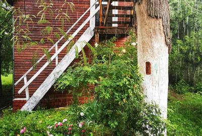 Com. Ileana - Calarasi, 4000 mp. teren si casa de vacanta cu deschidere la Balta - 9