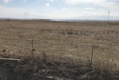 Teren de vanzare 20.000 mp pretabil benzinarie centura, direct de la proprietar! - 4