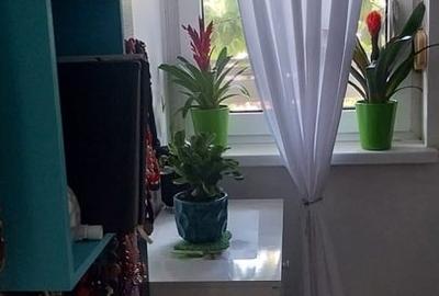 Garsonieră decomandată în Olteniței - 11