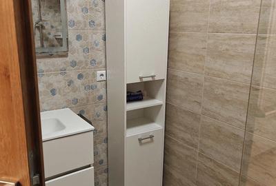 Apartament cu 2 camere semidecomandat în Turnișor - 10