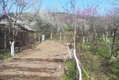 Casă cu 3 camere în Vintere - 4