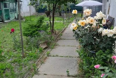 Casa de vanzare Media? - 3