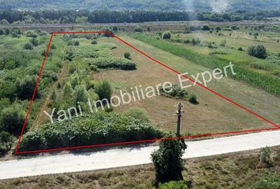 Teren de 8229 mp, în Băiculești - 12