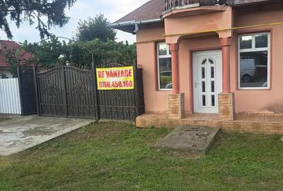 Vand casa din caramida - 9