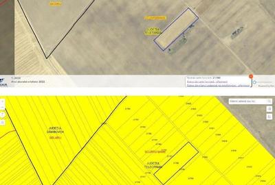 Teren de 5800 mp, în Scurtu Mare - 1