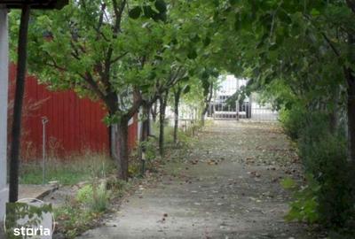 Casă cu 3 camere cu Teren 2350 Mp în Ciolpani - 7