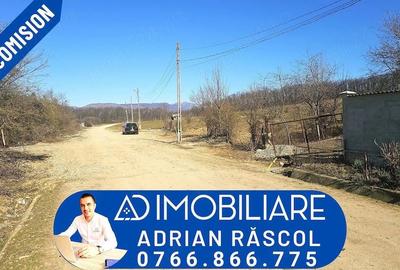 Teren de 2338 mp, în Central - 6