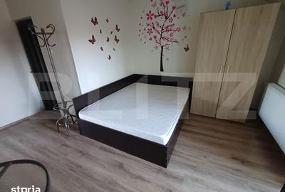 Garsonieră în Lotrului - 5